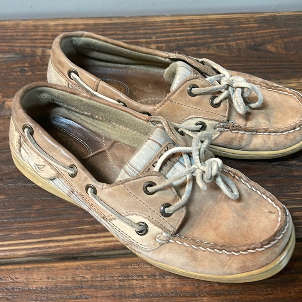 Sperry